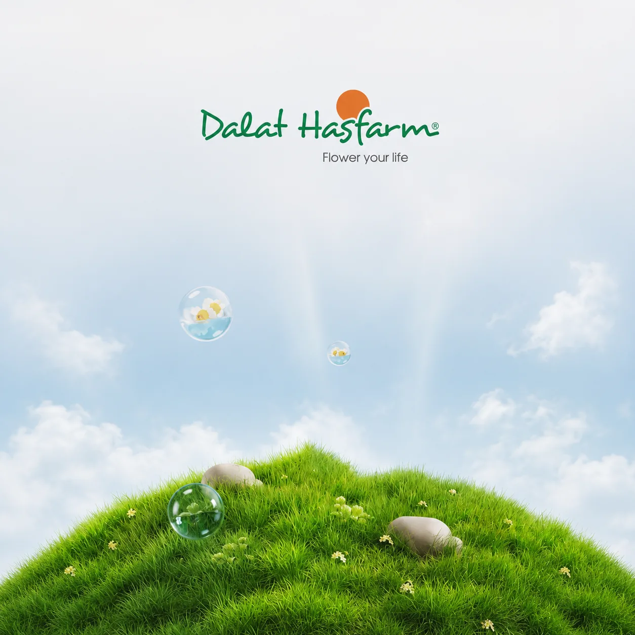 Dalat Hasfarm Flower your life